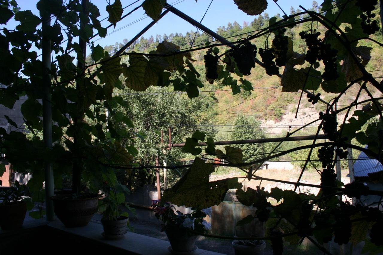Guest House Nima Bordżomi Zewnętrze zdjęcie